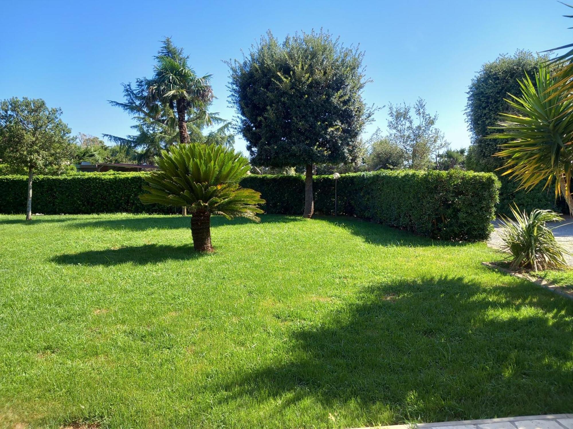 Nato Contadino Villa Capalbio Buitenkant foto