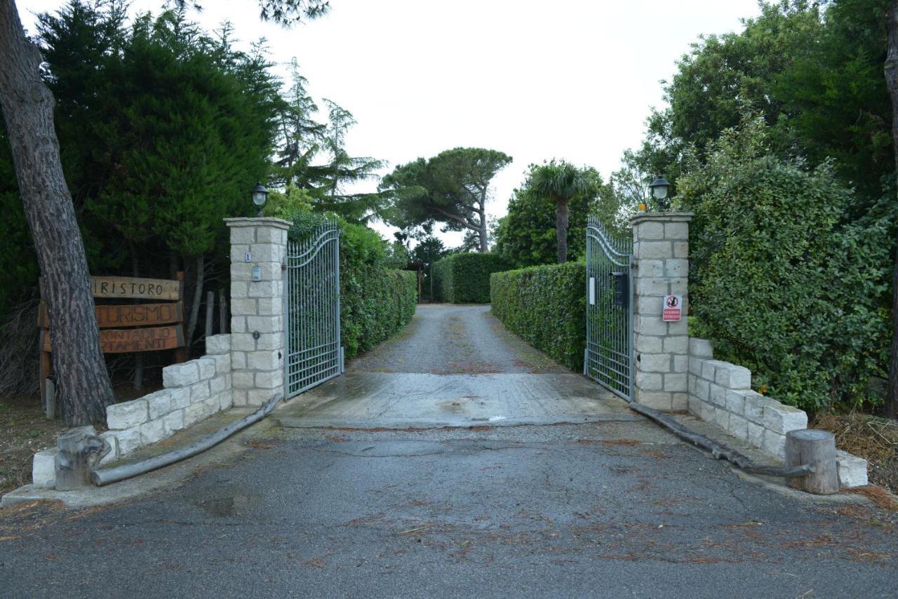 Nato Contadino Villa Capalbio Buitenkant foto